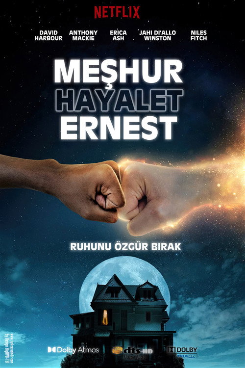 We Have a Ghost film afişi