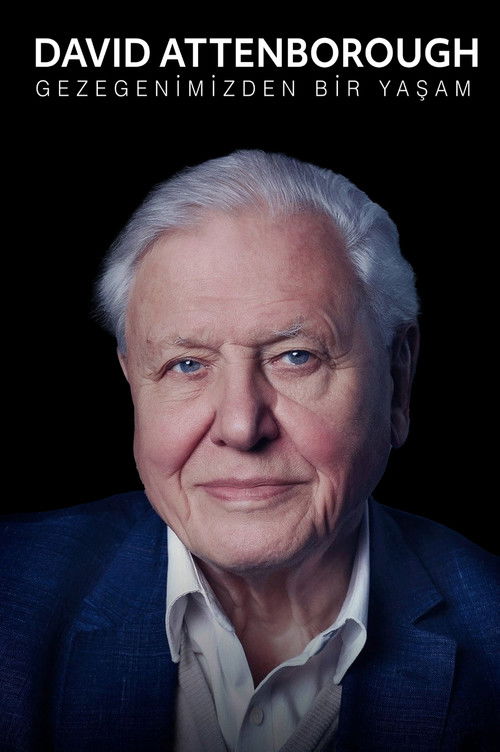 David Attenborough: A Life on Our Planet film afişi