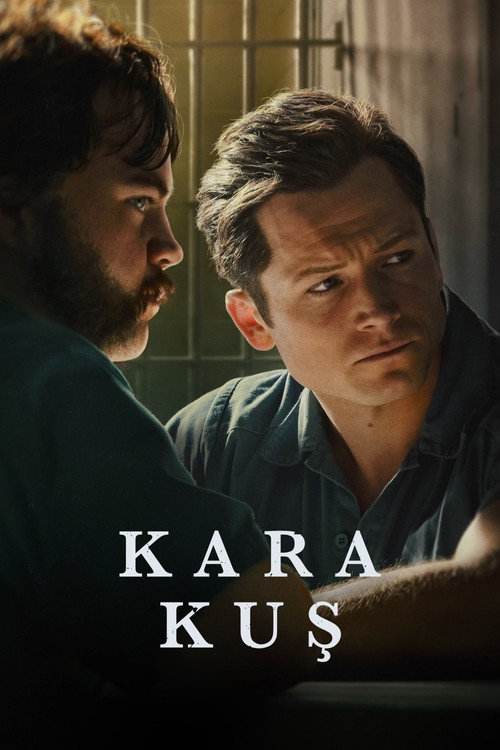 Black Bird dizi afişi