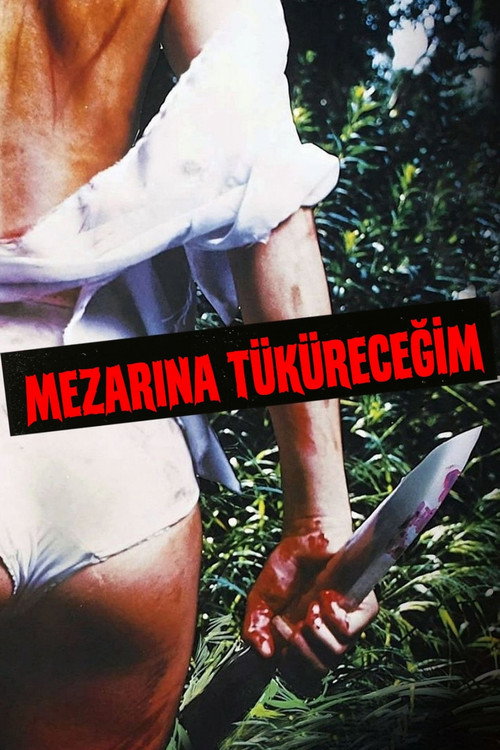 Day of the Woman film afişi