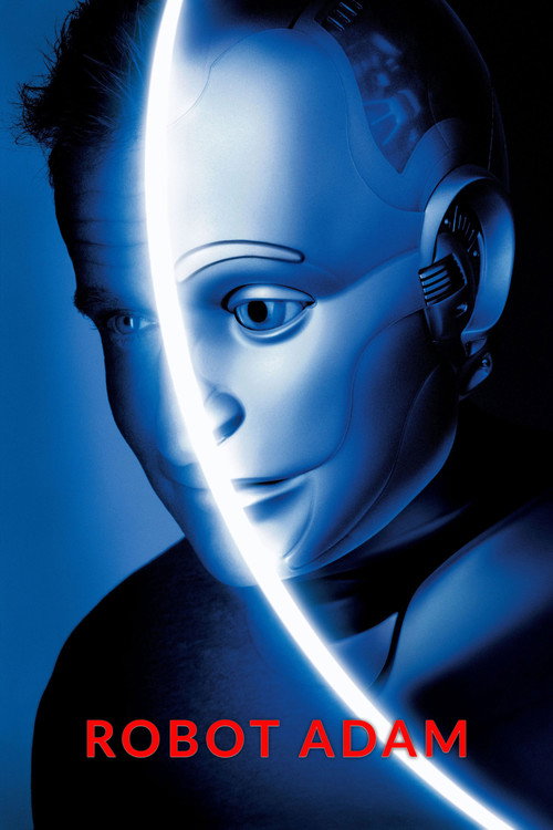 Bicentennial Man film afişi