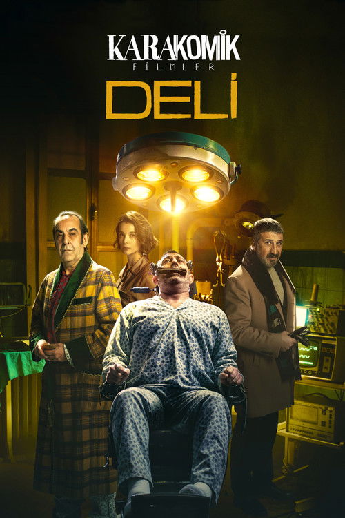 Karakomik Filmler 2: Deli film afişi