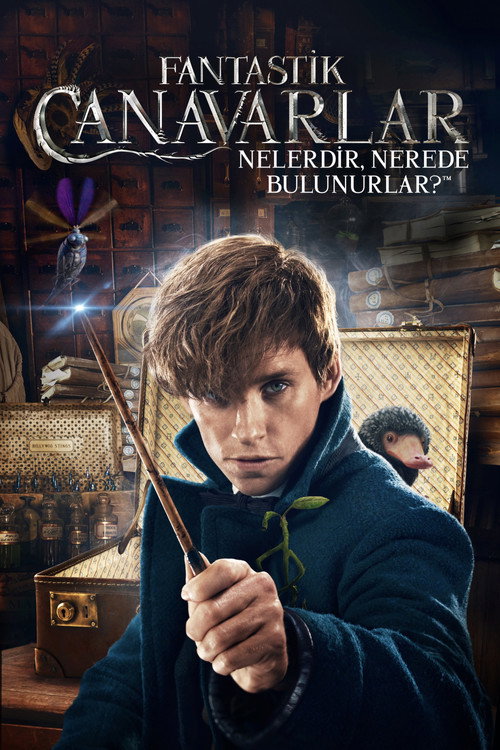 Fantastic Beasts and Where to Find Them film afişi