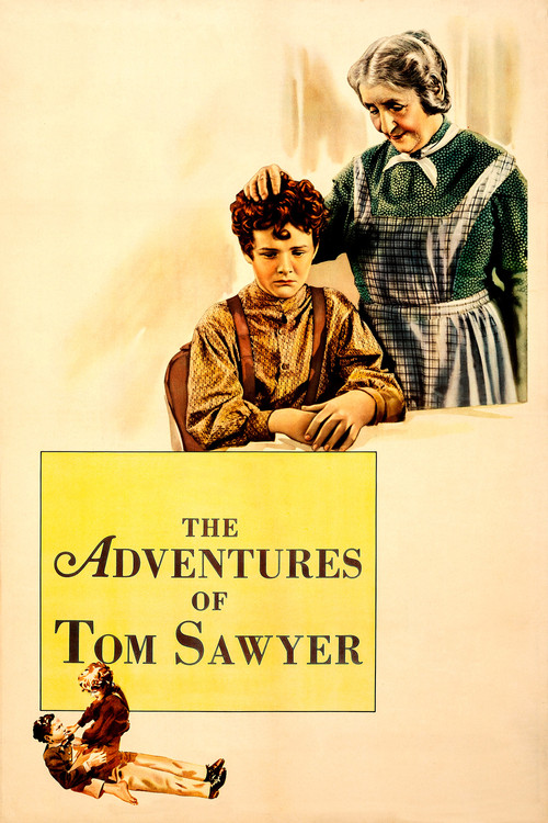 The Adventures of Tom Sawyer film afişi