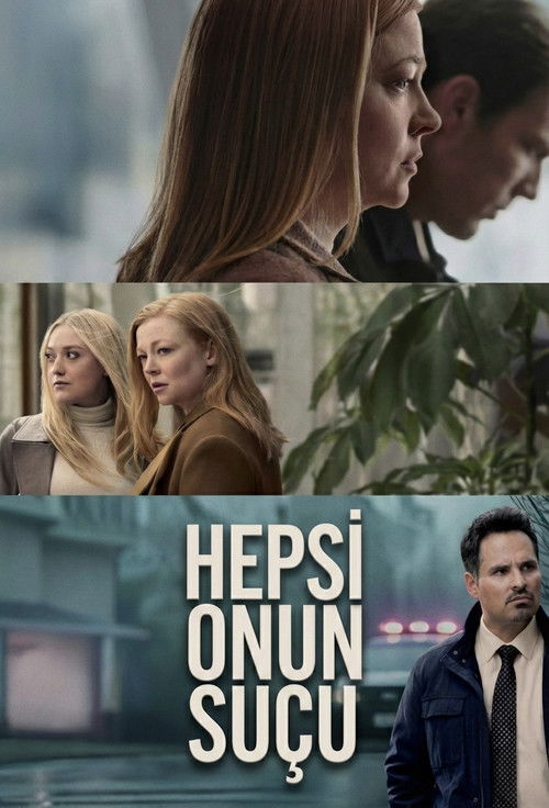 Hepsi Onun Suçu dizi afişi