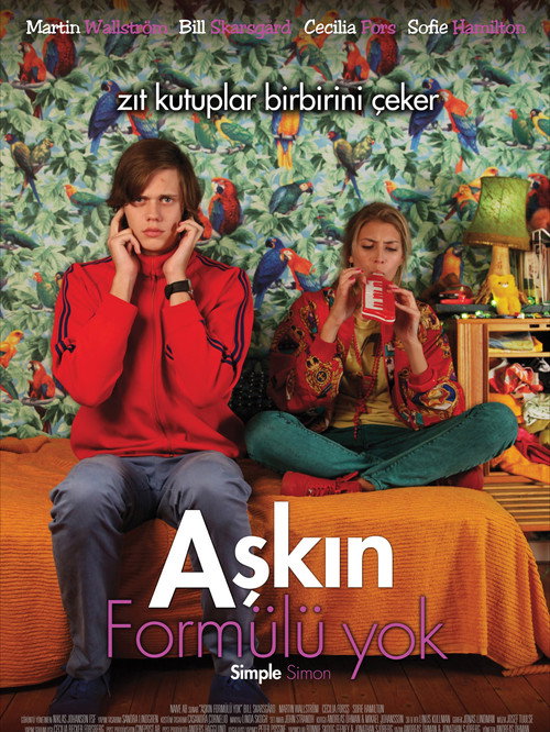 Aşkın Formülü Yok film afişi