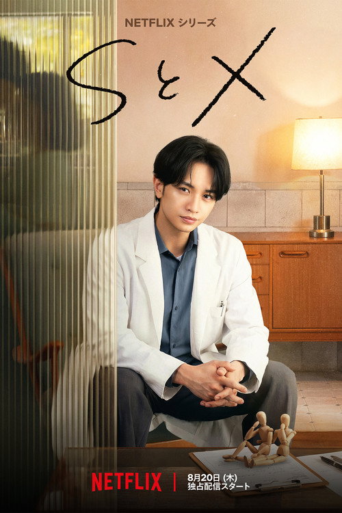SとX﻿ dizi afişi