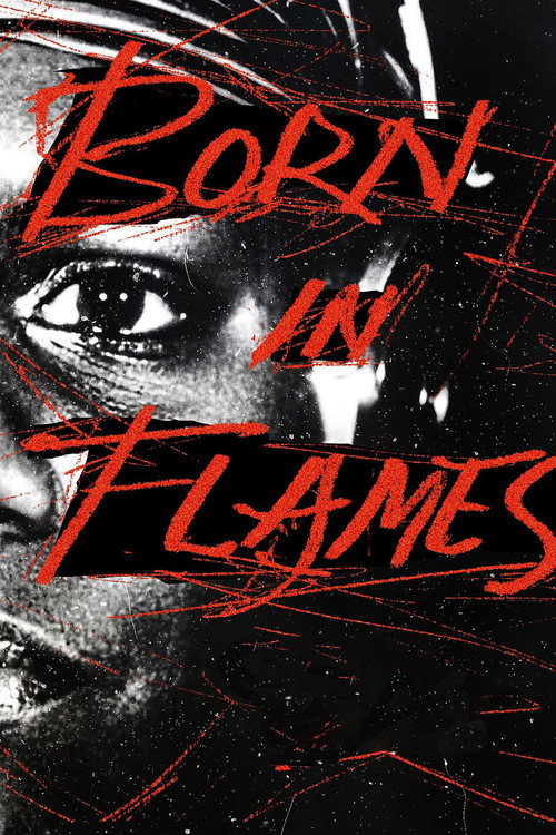 Born in Flames film afişi
