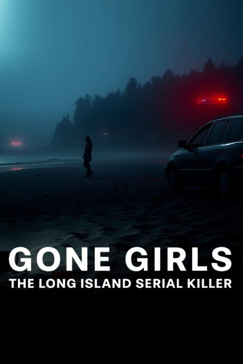 Kayıp Kızlar: Long Island Seri Katili dizi afişi