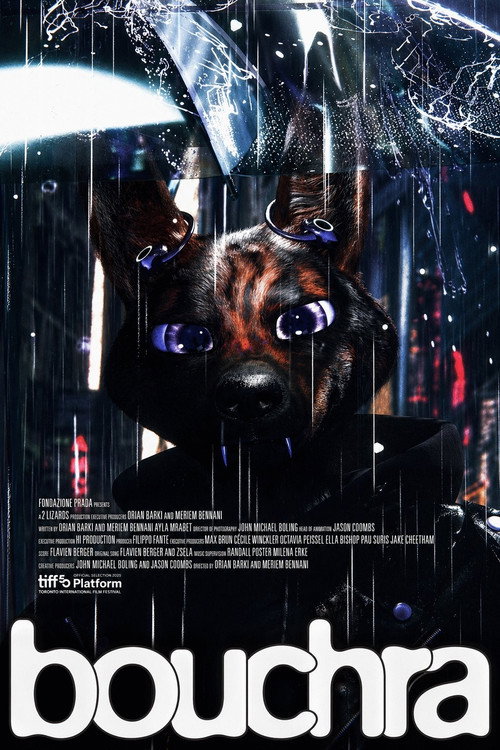 Bouchra film afişi