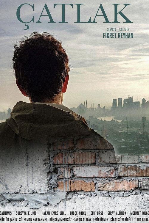 Çatlak film afişi