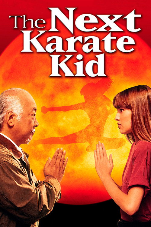 The Next Karate Kid film afişi