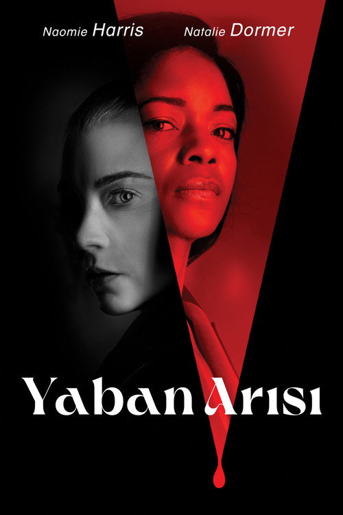 The Wasp film afişi