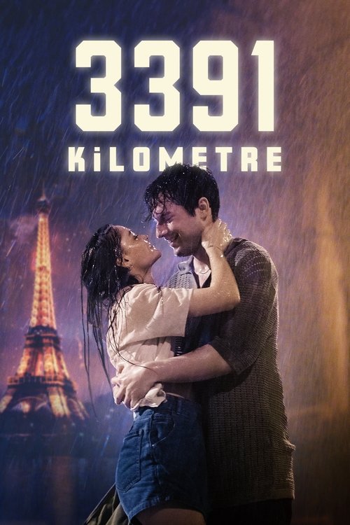 3391 Kilometre film afişi