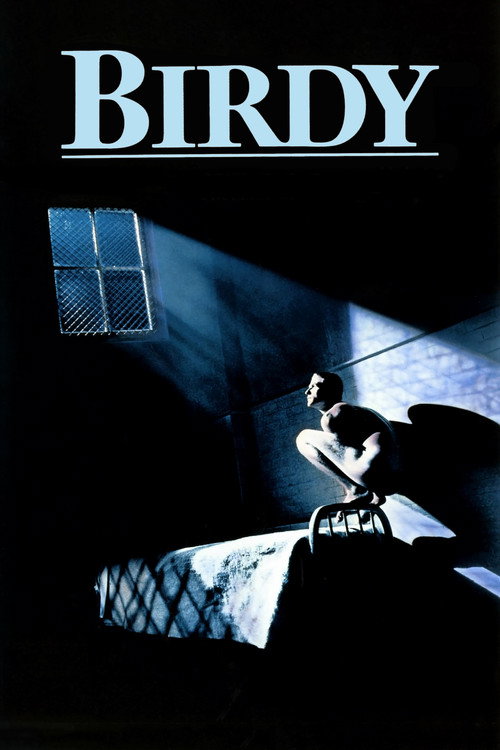 Birdy film afişi