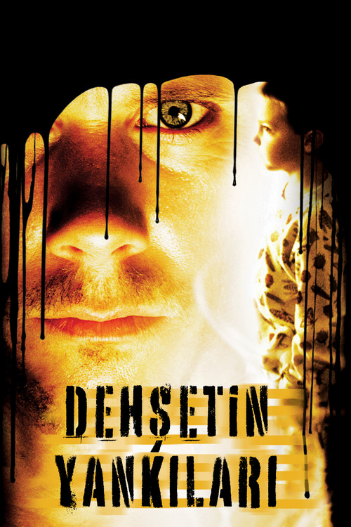 Stir of Echoes film afişi