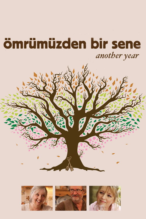 Another Year film afişi