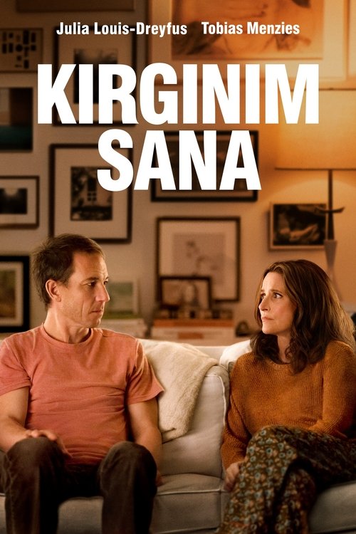 Kırgınım Sana film afişi