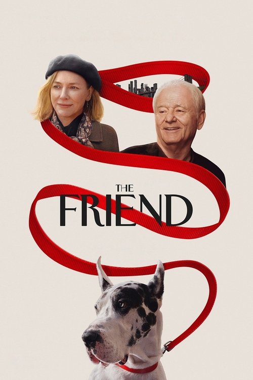 The Friend film afişi