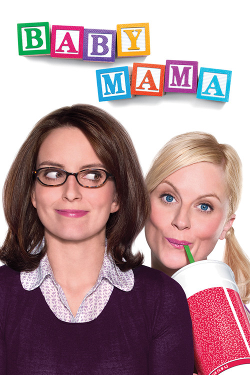 Baby Mama film afişi