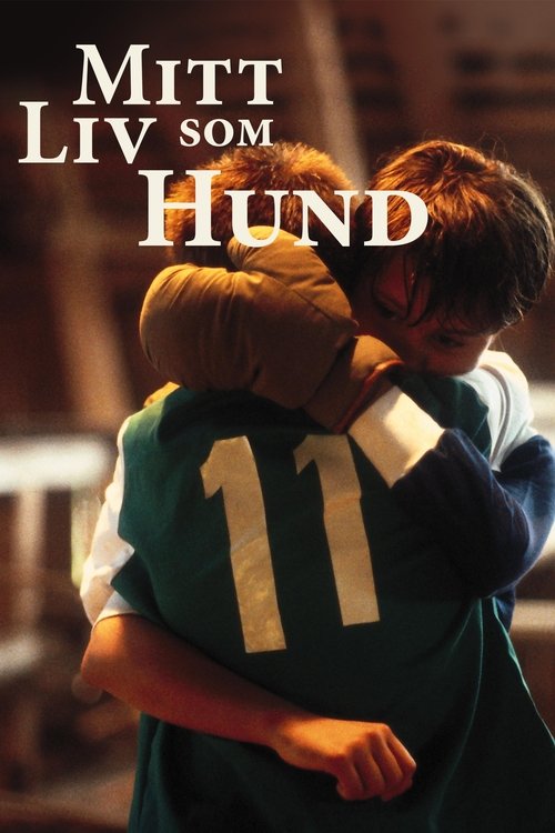 Mitt liv som hund film afişi