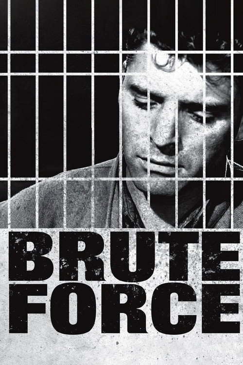Brute Force film afişi