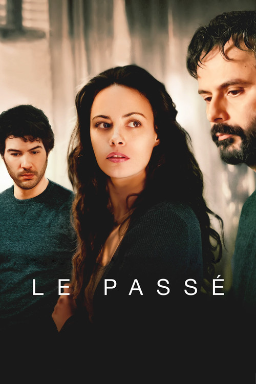 Le passé film afişi
