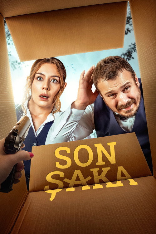 Son Şaka film afişi