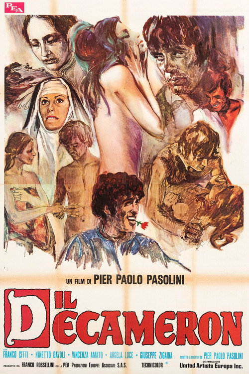 Il Decameron film afişi