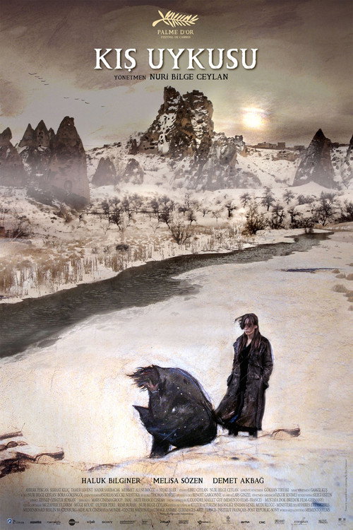 Winter Sleep film afişi