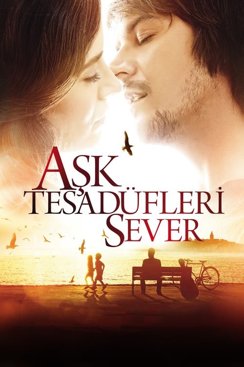 Love Likes Coincidences film afişi