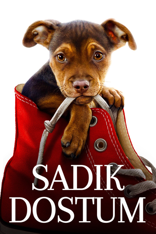 Sadık Dostum film afişi