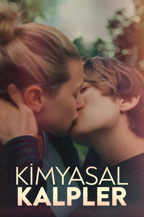 Chemical Hearts film afişi