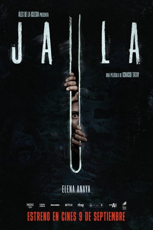 The Chalk Line film afişi