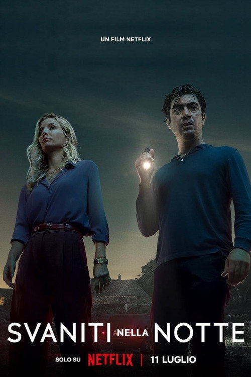 Vanished into the Night film afişi