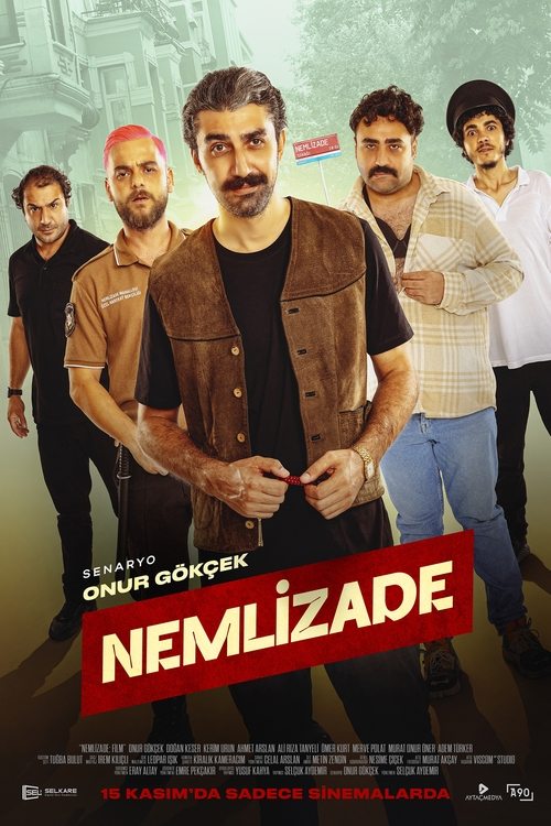 Nemlizade film afişi