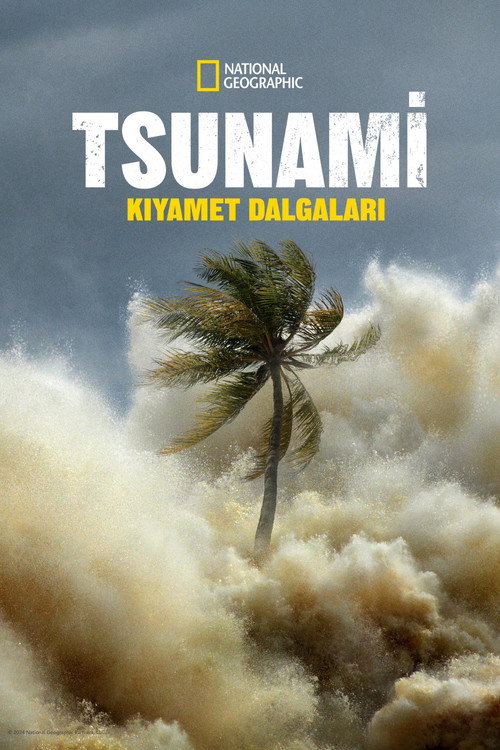 Tsunami: Kıyamet Dalgaları dizi afişi
