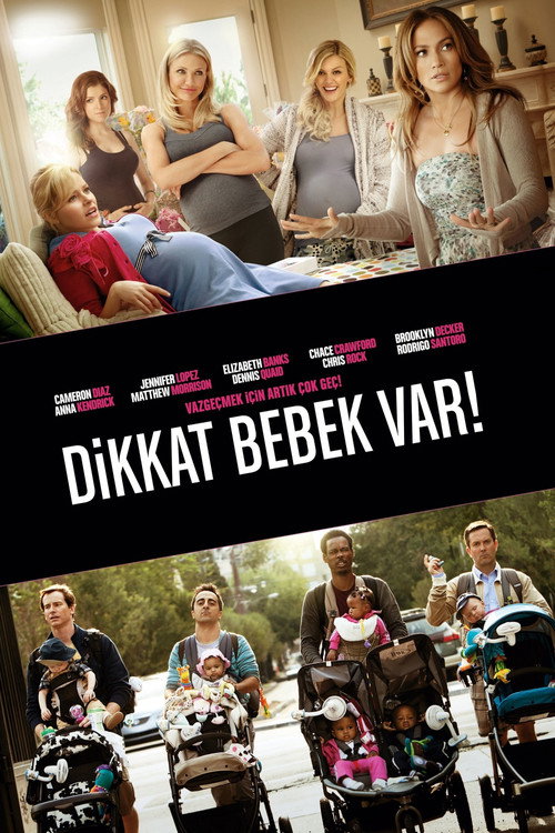 What to Expect When You're Expecting film afişi