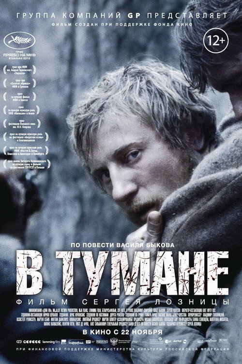 V tumane film afişi