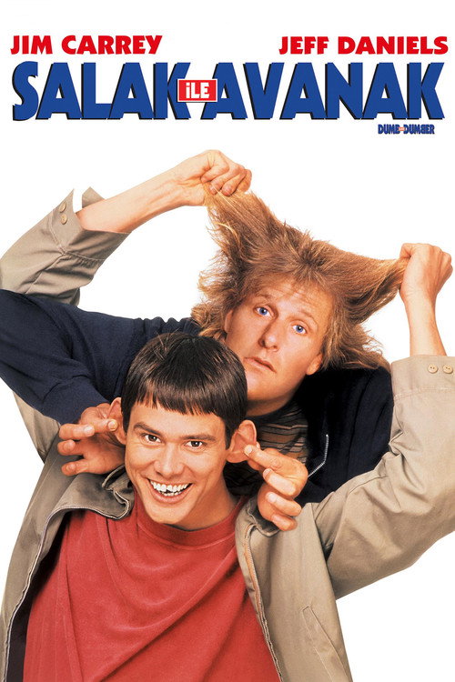 Dumb and Dumber film afişi