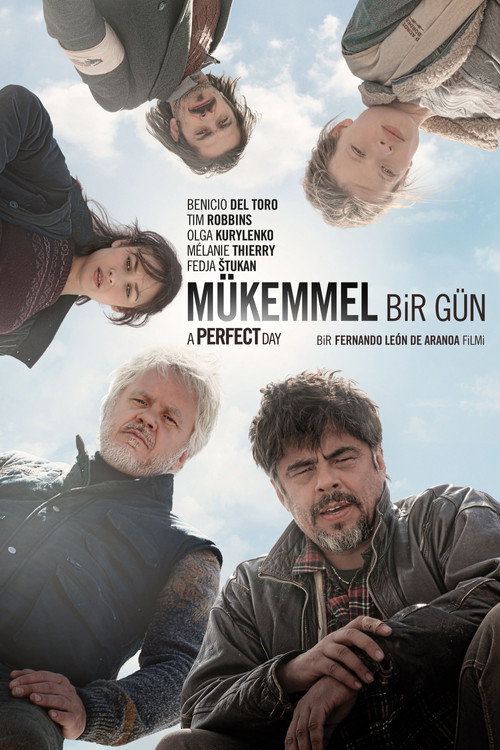 Mükemmel Bir Gün film afişi