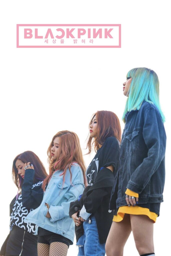 BLACKPINK: Light Up the Sky (2020) film afişi