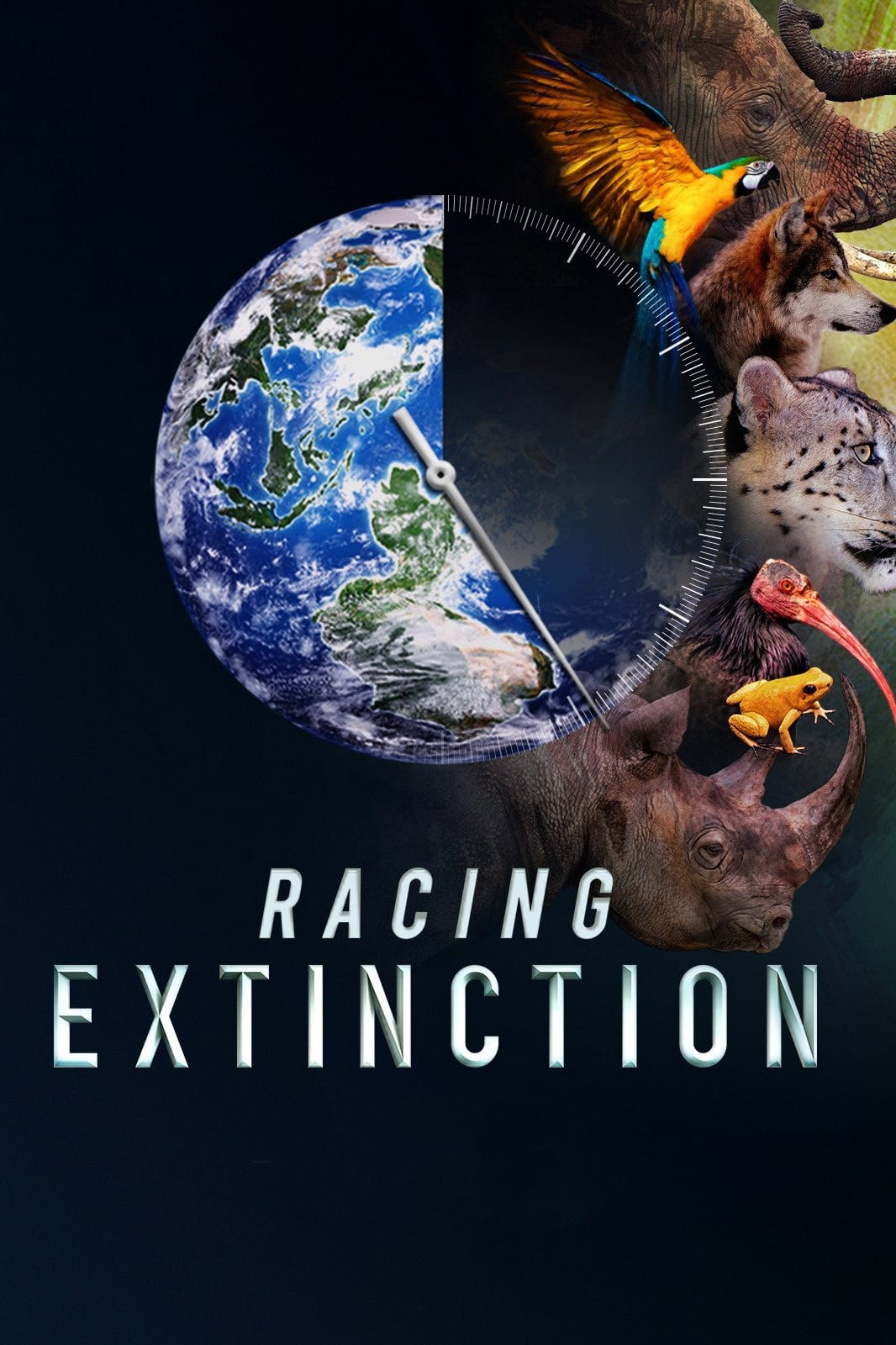 Racing Extinction (2015) film afişi