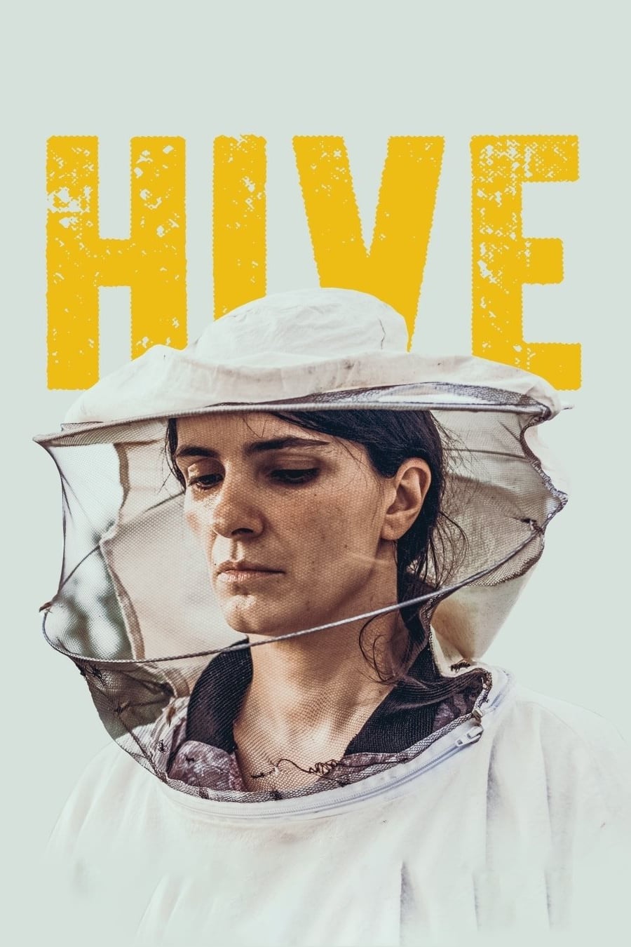 Zgjoi (2021) film afişi