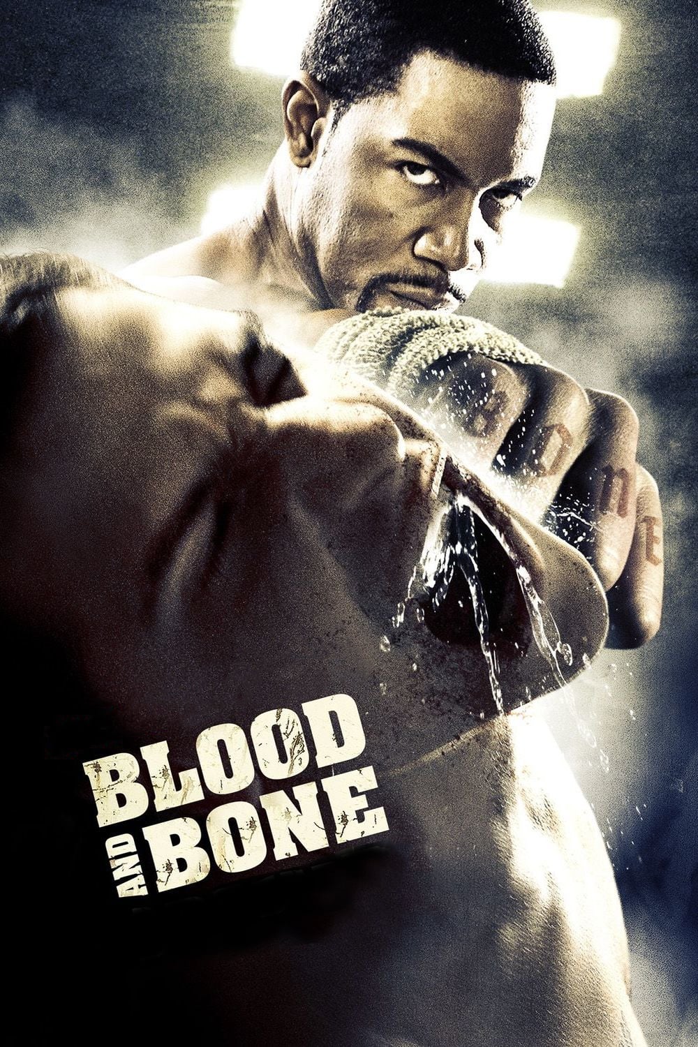 Blood and Bone (2009) film afişi