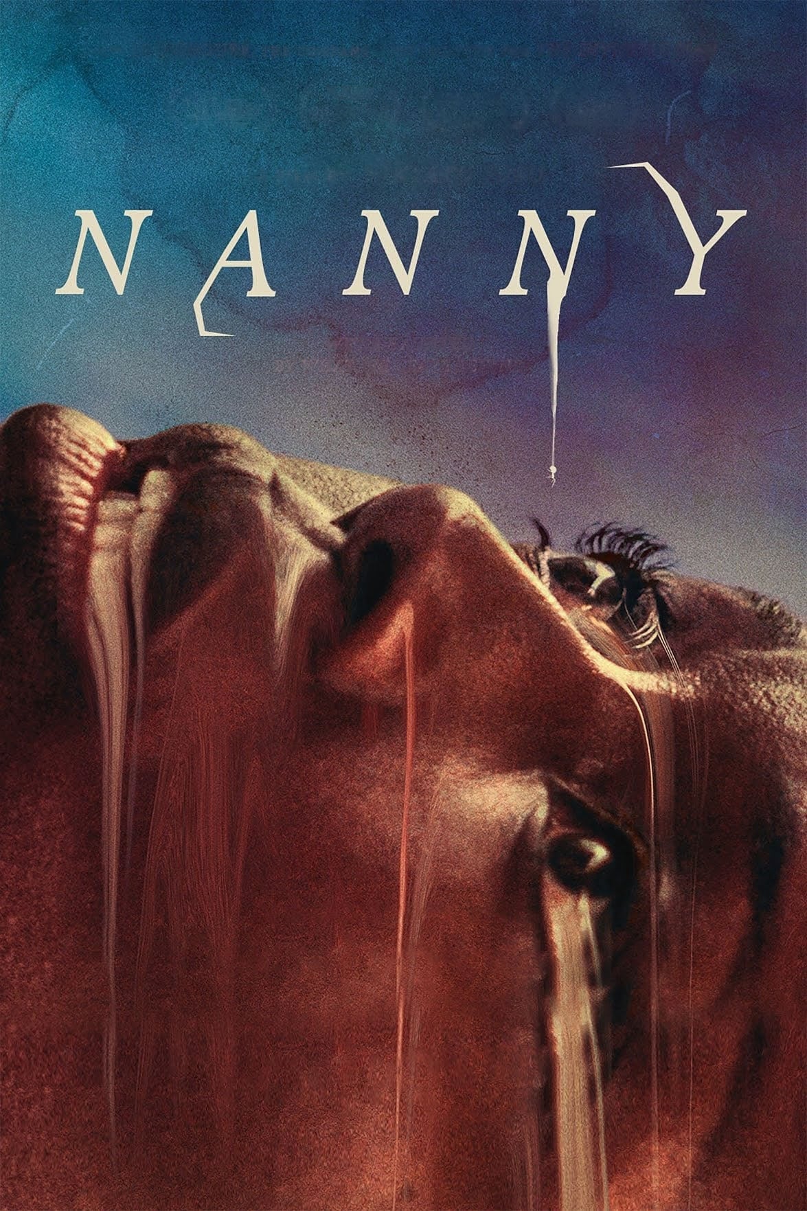 Nanny-Türkçe Altyazı izle film afişi