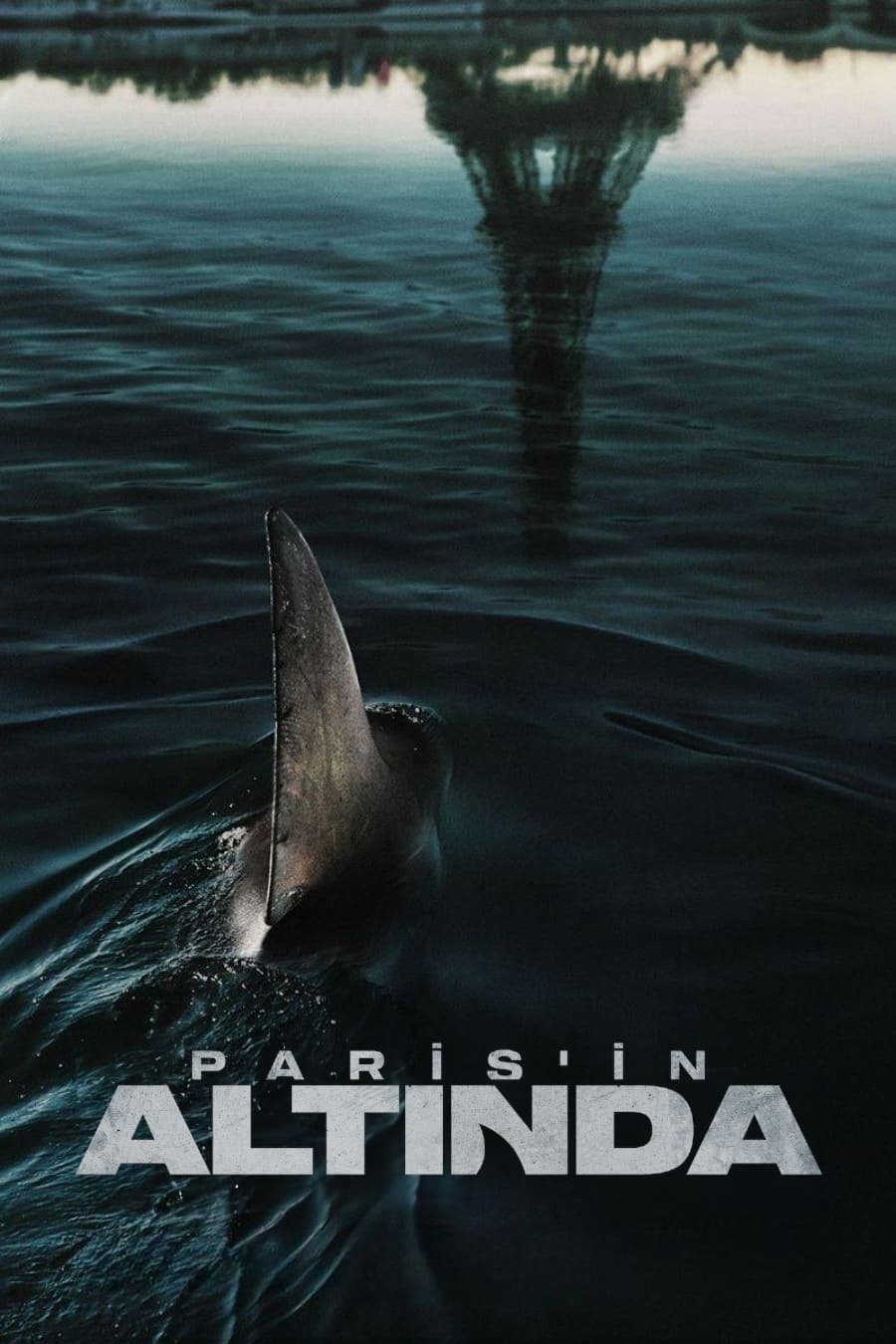 Paris’in Altında film afişi