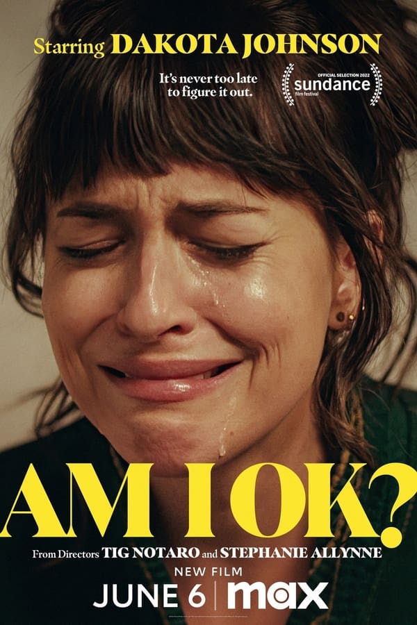 Am I OK? film afişi