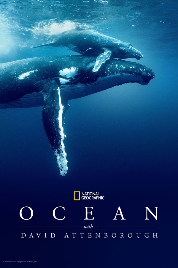 David Attenborough ile Okyanus film afişi