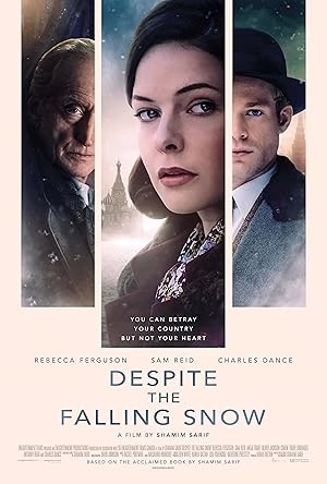 Yağan Karlara Rağmen film afişi